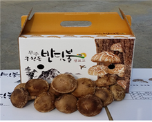 무주반딧불표고버섯